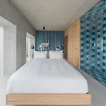 Placid Design & Lifestyle Otel Zürih