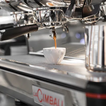 苏黎世普莱西德设计与生活方式酒店 酒店 苏黎世