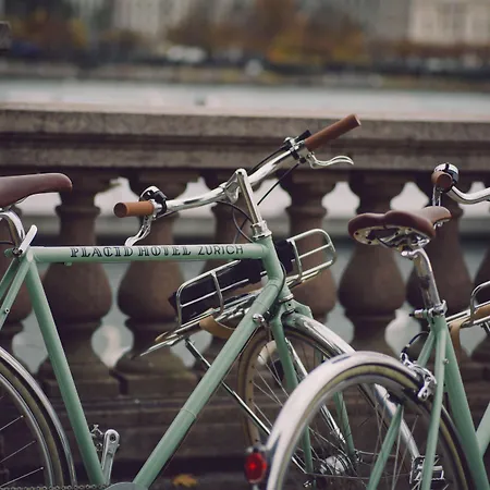 苏黎世普莱西德设计与生活方式酒店 酒店 4*