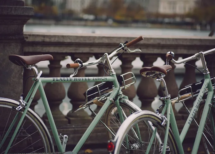 プラシッド デザイン ＆ ライフスタイル ホテル 4*